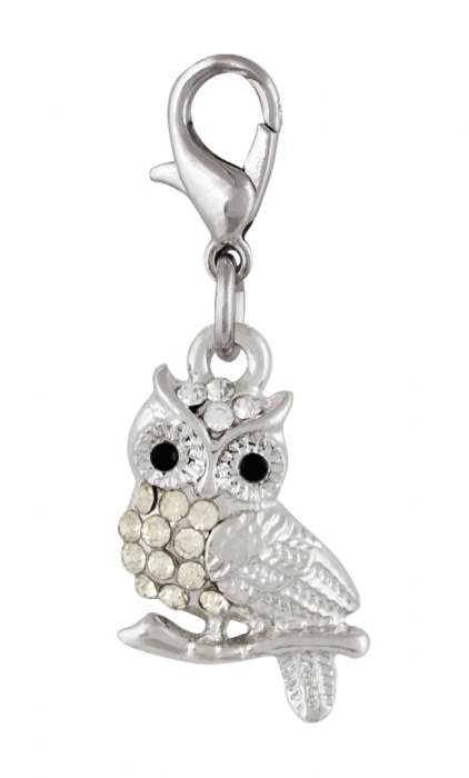 CHARM - OWL