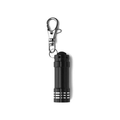 Keyring with carabiner, LED light