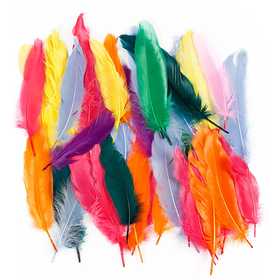 Feathers