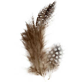 Guinea fowl feathers