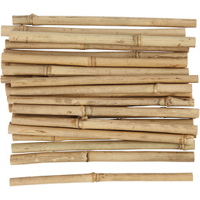 Bamboo stick