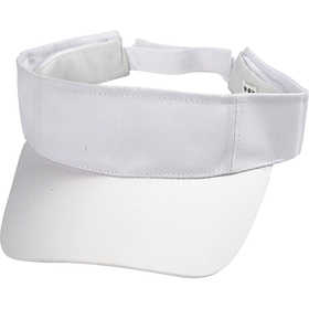 Sun Visor