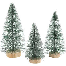 Christmas Spruce Trees