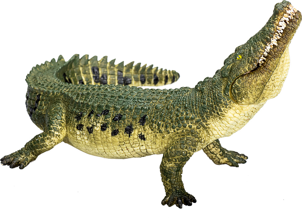 Crocodile with Articulated Jaw