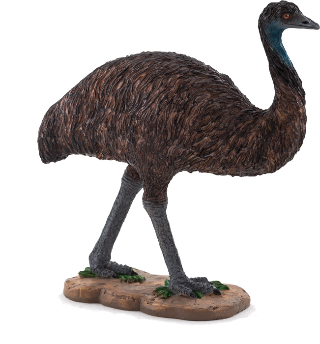 Emu