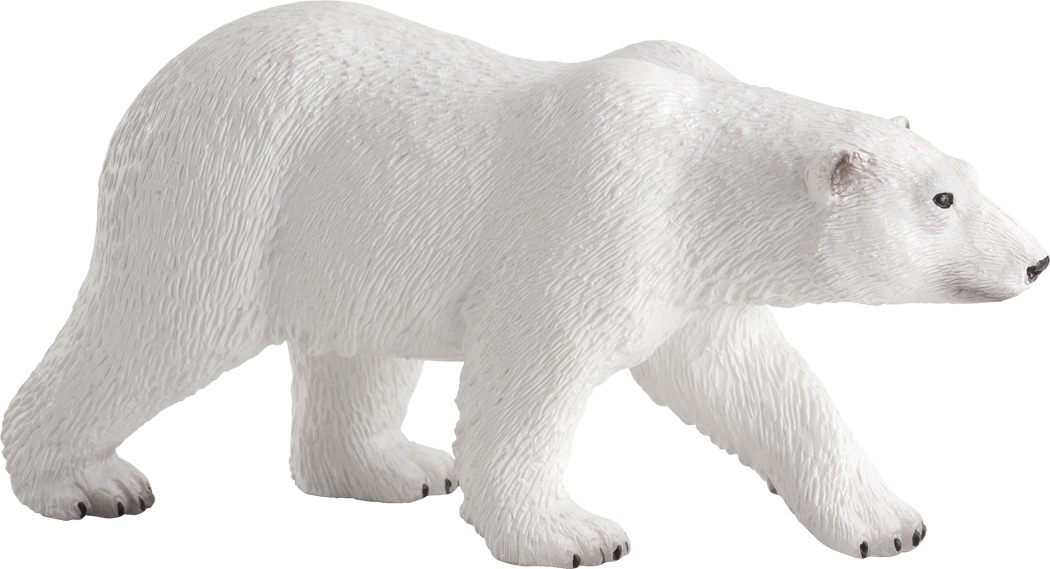 Polar Bear