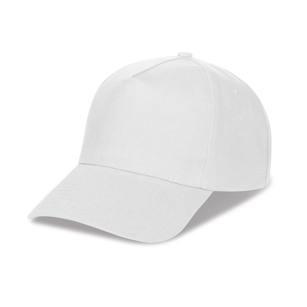 PANELS GOLF CAP