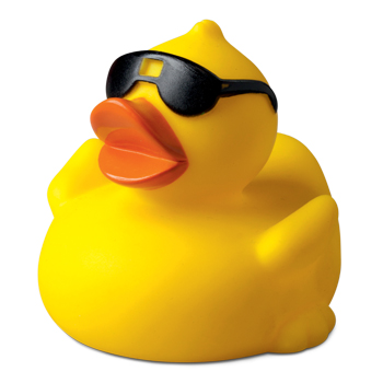 Squeaky duck, with sunglases