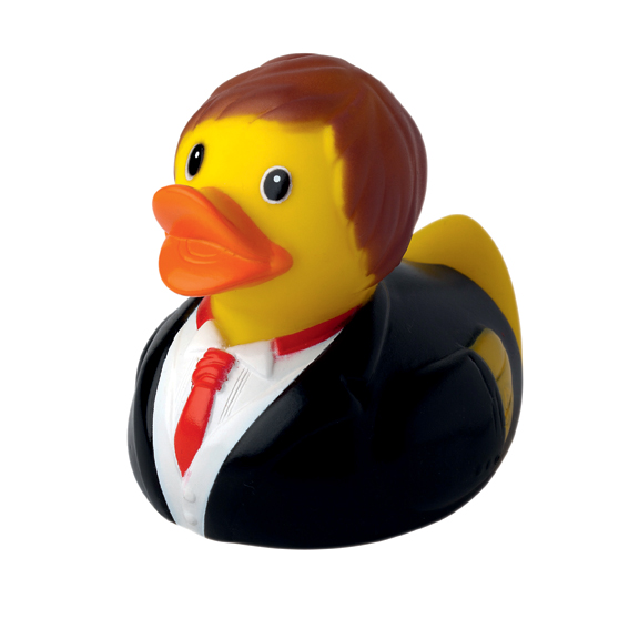 Squeaky duck, groom