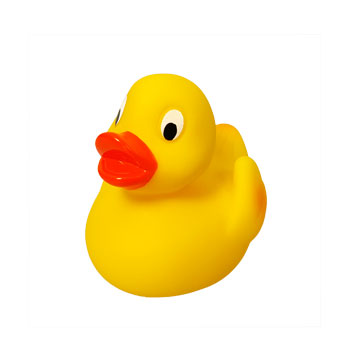 Squeaky duck