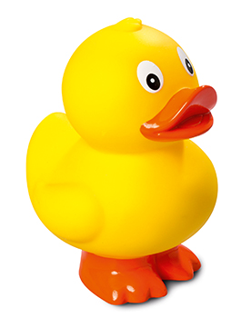 Squeaky duck, standing