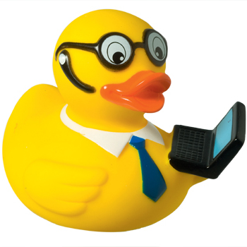 Squeaky duck, laptop