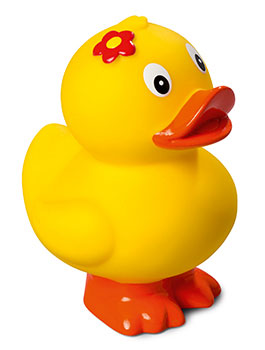 Squeaky duck standing, flower