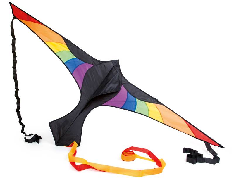 Lenkdrachen Regenbogen