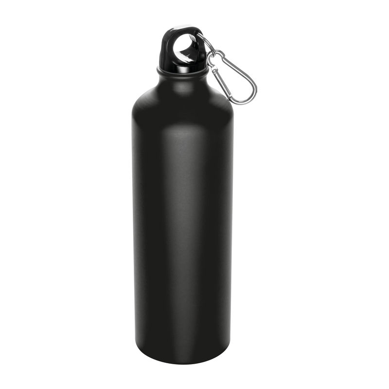 Metal drinking bottle with carabiner Brno