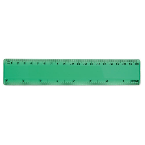 20CM FLEXIBLE RULER