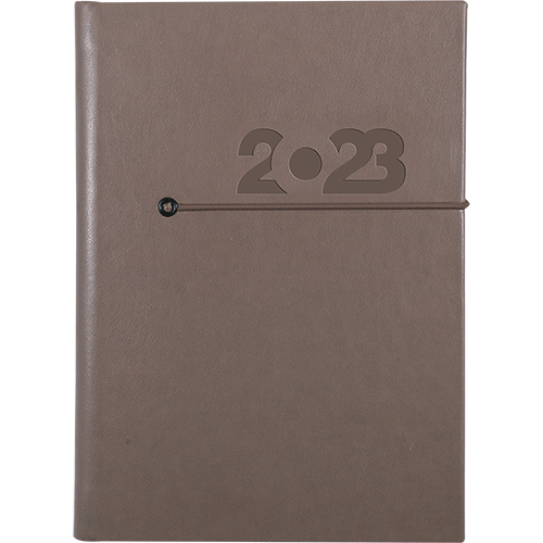 Agenda CARIOCA, medium, datata, cod 119