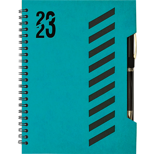 Agenda DIAGON medium, nedatata, cod 217