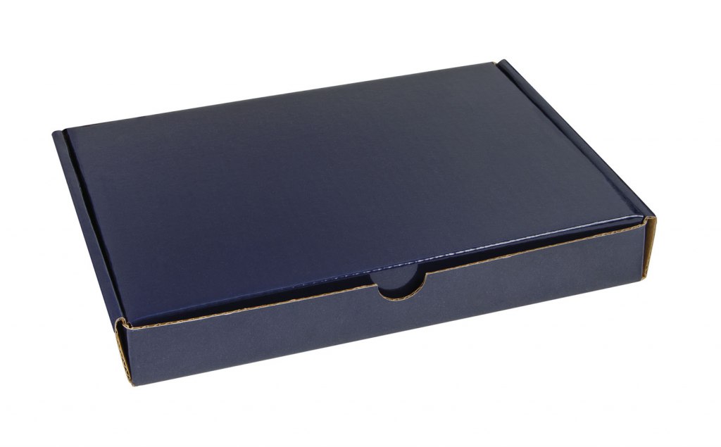 FOLDING BOX BLUE 320X230X30 MM