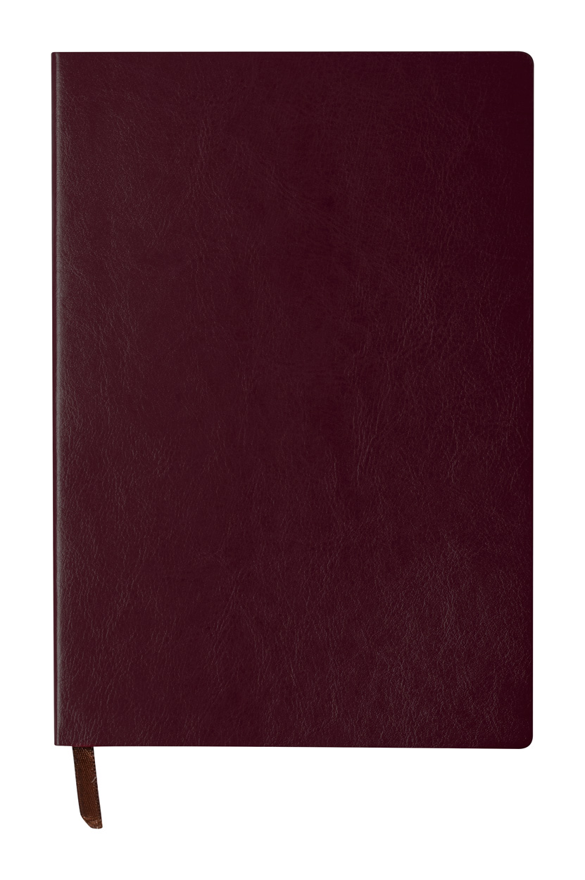 Paldon notebook