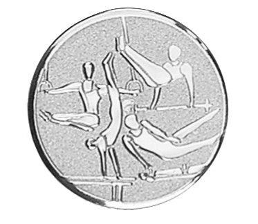 PLATE MEN'S GYMNASTICS d=25mm